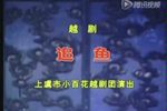 追鱼 全集