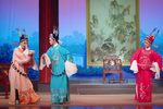 桃李梅 高中除霸下载