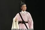 双婿案