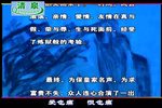 荣华梦 全集下载