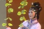 白兔记 全集下载