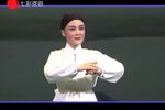 越剧王清2007个人专场