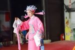 孟丽君 游上林下载