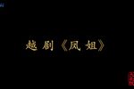 凤姐 全集
