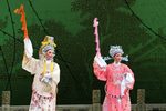 孟丽君 游上林下载
