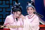 陆游与唐琬 小红楼 选段