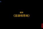 泪洒相思地 全集
