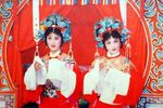 花为媒 全集下载