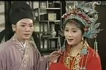 一缕麻下载
