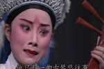 沙漠王子下载