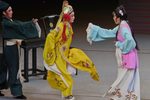 王老虎抢亲戏豹下载