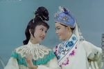 三看御妹刘金定 全集下载