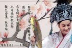 盘妻索妻 全集下载