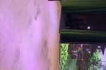 慈云太子 下集