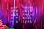 金玉情 全集