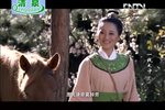 一钱太守