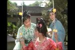 红丝错