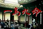 一鸟九命