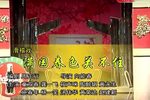 满园春色关不住下载