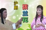 白兰花 选段下载