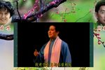 家梅林重逢