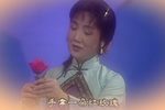 玫瑰沈惠中 下集