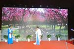 家 別梅 选段下载