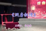 龙凤花烛 洞房叙情下载