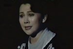 影子 晚风轻轻抚窗棂