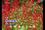 第二次握手 选段
