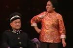 滑稽名家杨华生从艺60周年专场演出集粹1991年录像下载