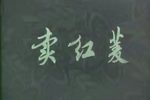 卖红菱