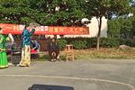 庵堂相会下载