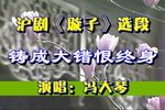 璇子 铸成大错恨终身 选段下载