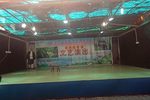 母子龄/误拆冬兰下载