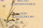 甜酸苦辣下载