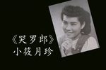 铁汉娇娃 哭罗郎 选段