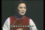 罗汉钱下载