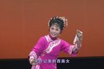 双出灯 赋子板下载