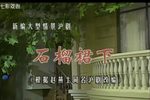 石榴裙下 全集下载