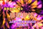 上海沪剧院青年演员团演出专场下载