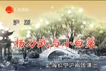 杨乃武与小白菜 全集下载