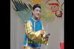 打花包下载