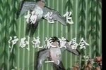 杨飞飞沪剧流派演唱会全三辑下载
