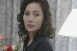 风雨同龄人 7下载