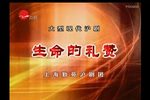 生命的礼赞 全集下载