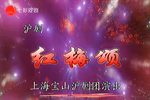 红梅颂 全集