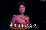 血染姐妹花 选段下载