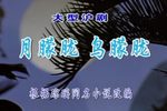 月朦胧 鸟朦胧 全集下载