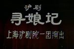 寻娘记 全集下载